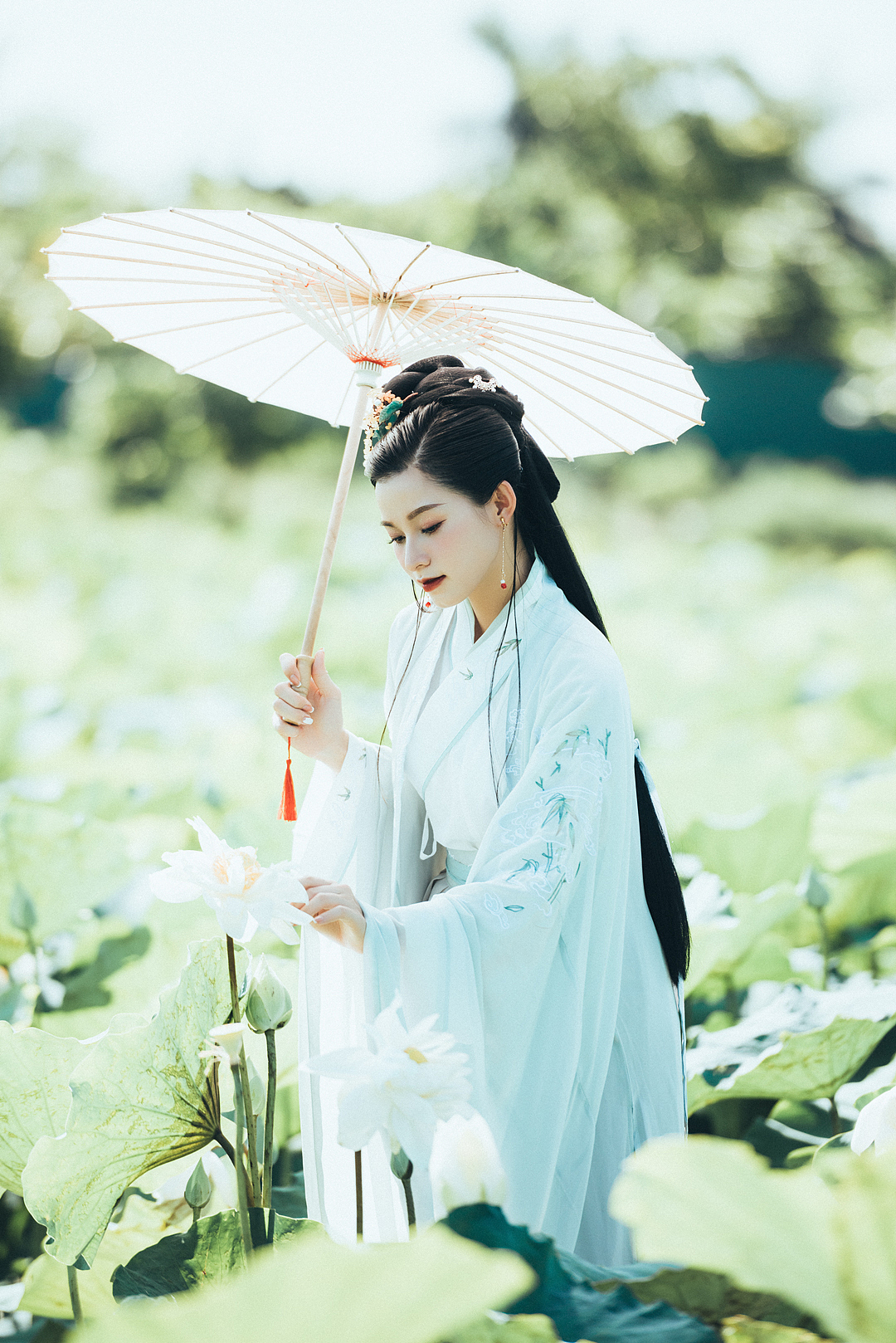 荷花 古风 汉服 人像 写真