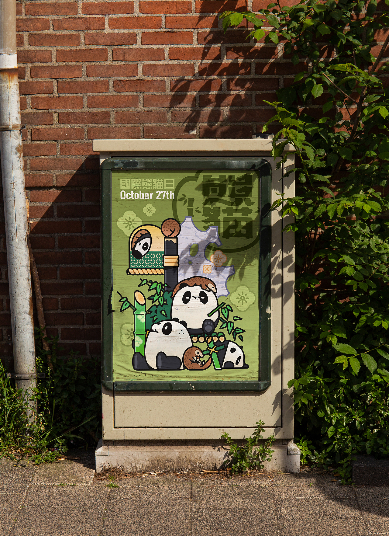 【大熊猫与小伙伴们】云养胖达