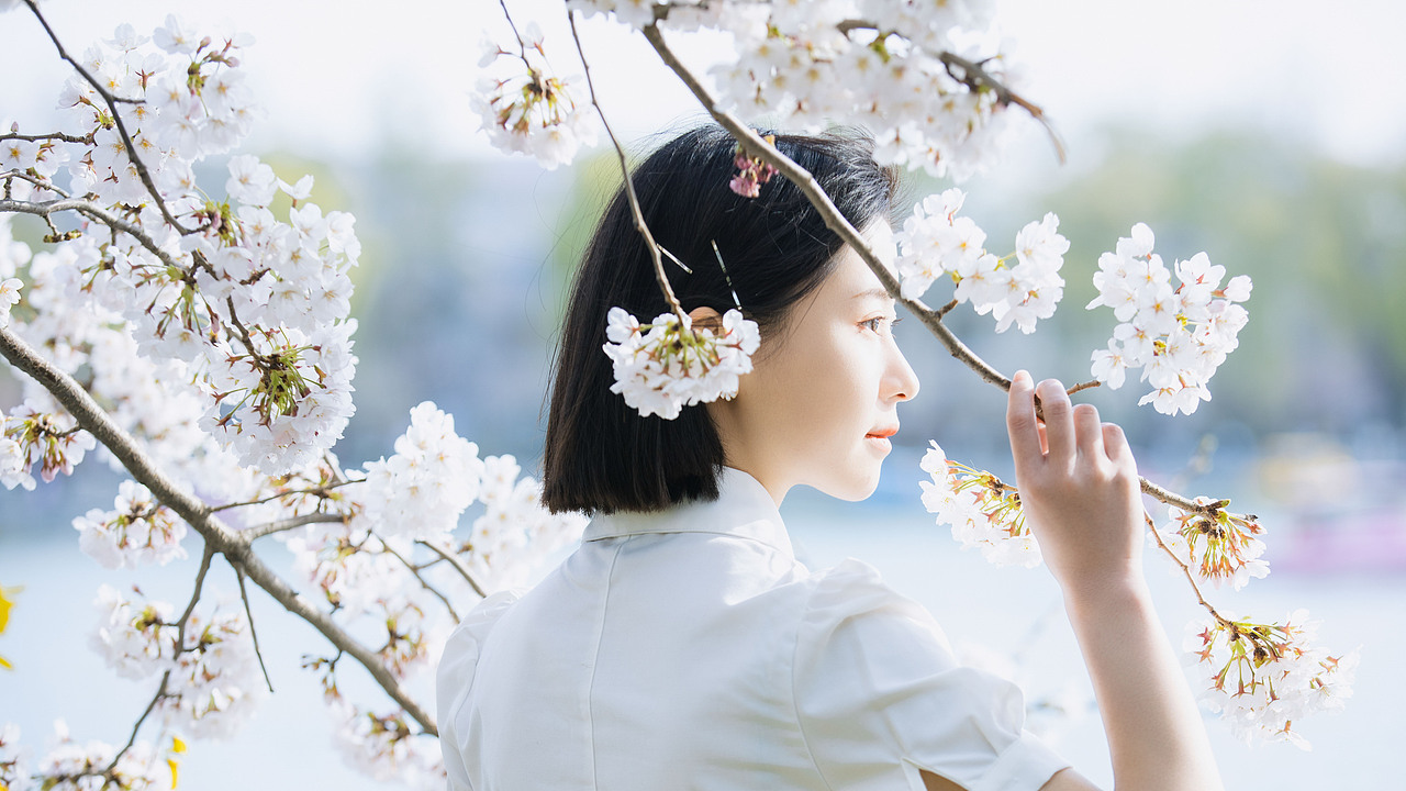 樱花梦境（图ZMzM1OTAwNzA4） - 人像摄影 - 站酷设计师修图师张欢原创素材 - 站酷ZCOOL