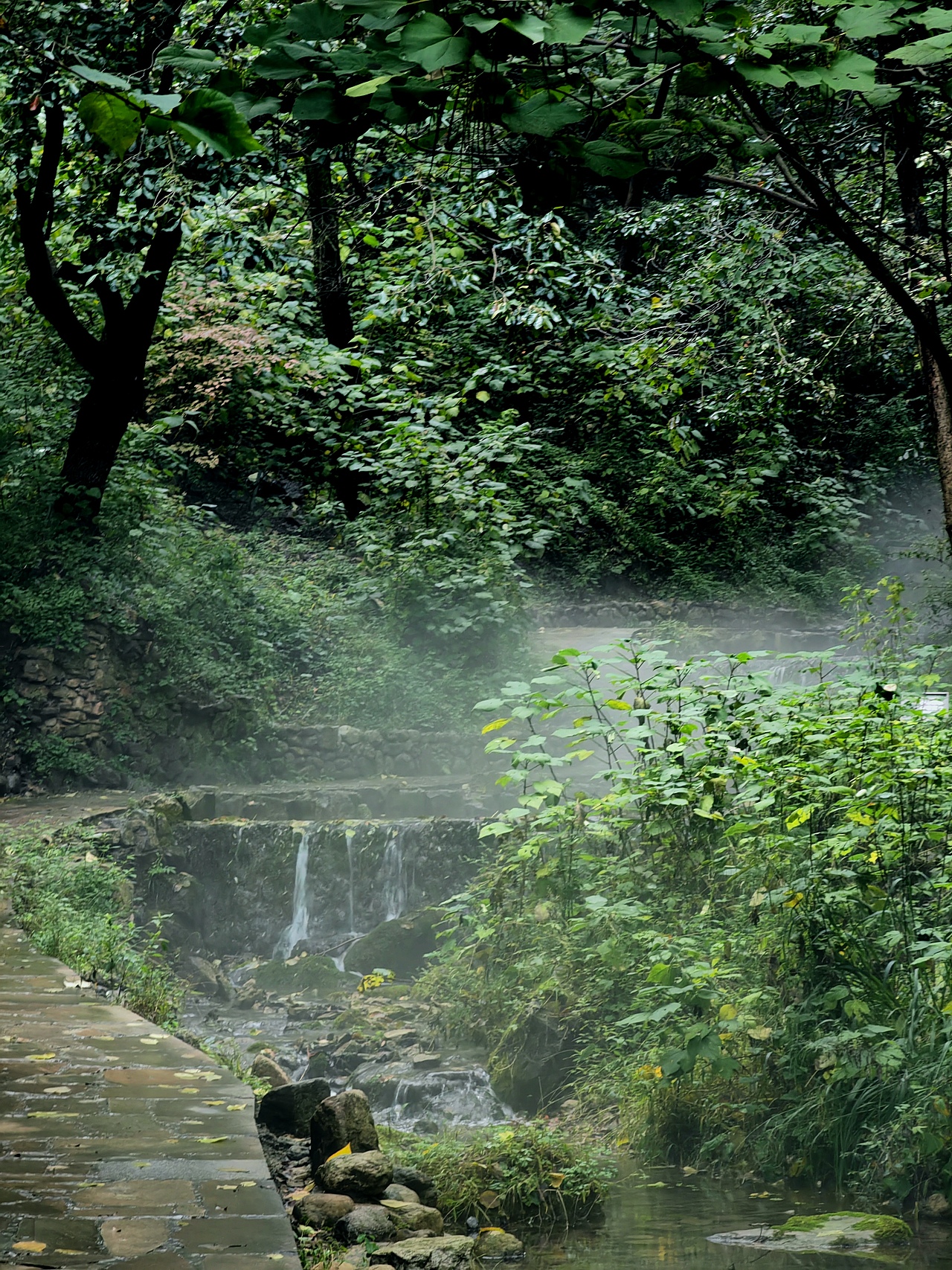 雨后山林（圖ZMzUyMzIwMzU2） - 風(fēng)光攝影 - 站酷設(shè)計(jì)師特別懶的tiger原創(chuàng)素材 - 站酷ZCOOL