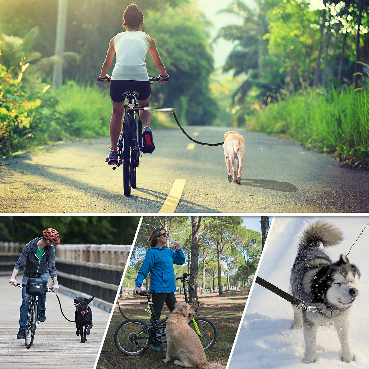 宠物 自行车牵绳器 亚马逊主图 A+