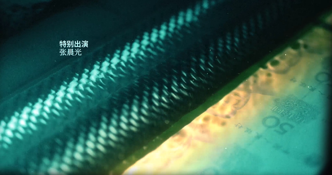 网剧《伪钞者》片头（图ZMzI4NDc5MjAw） - 其他影视 - 站酷设计师Tracy_MC原创素材 - 站酷ZCOOL