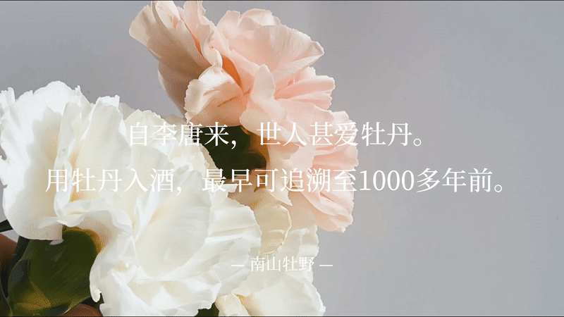 果酒包装设计丨牡丹酿果酒三维渲染丨果酒品牌视觉设计