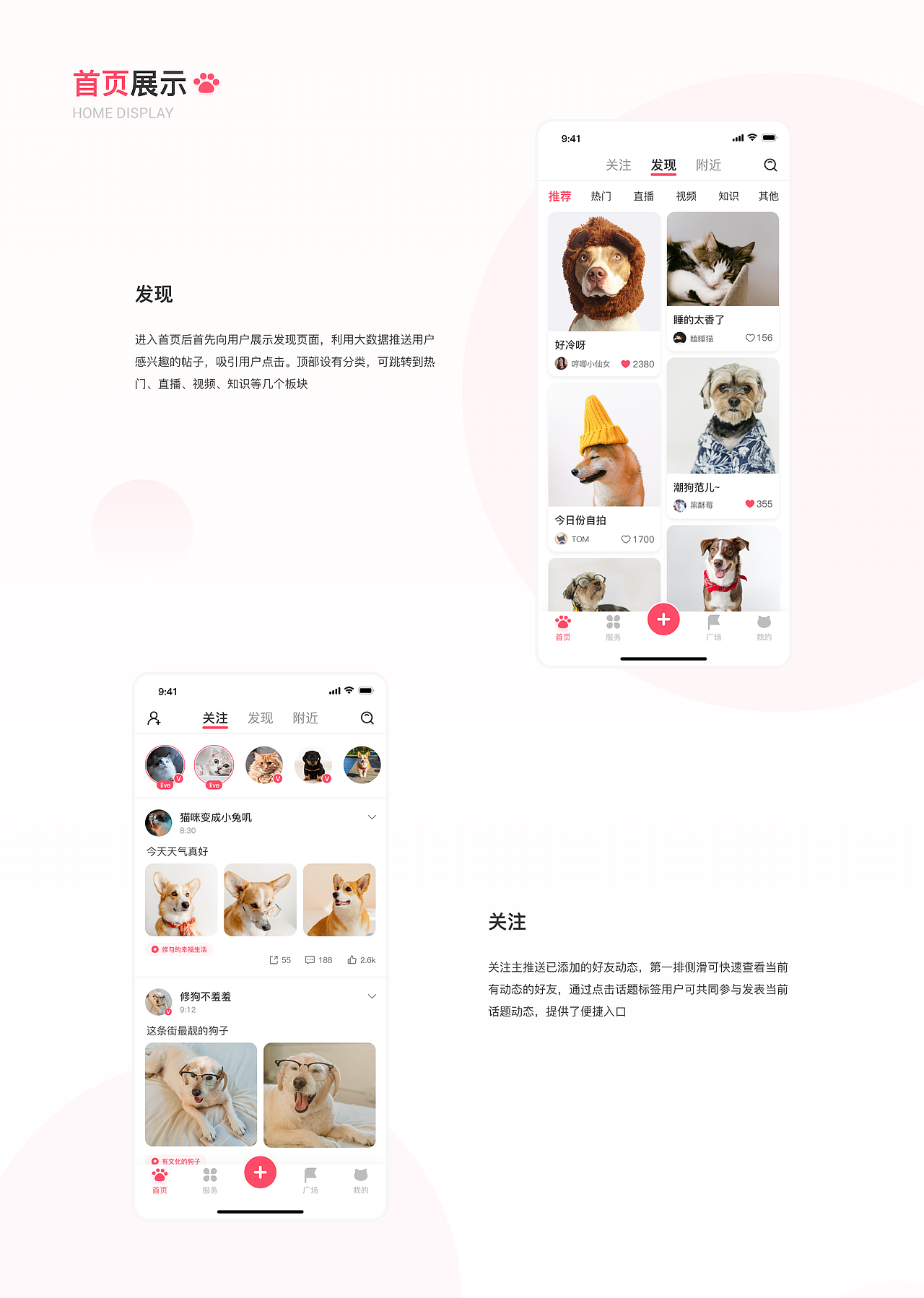 2022 UI作品集 宠物 租房 相册 网页 求职