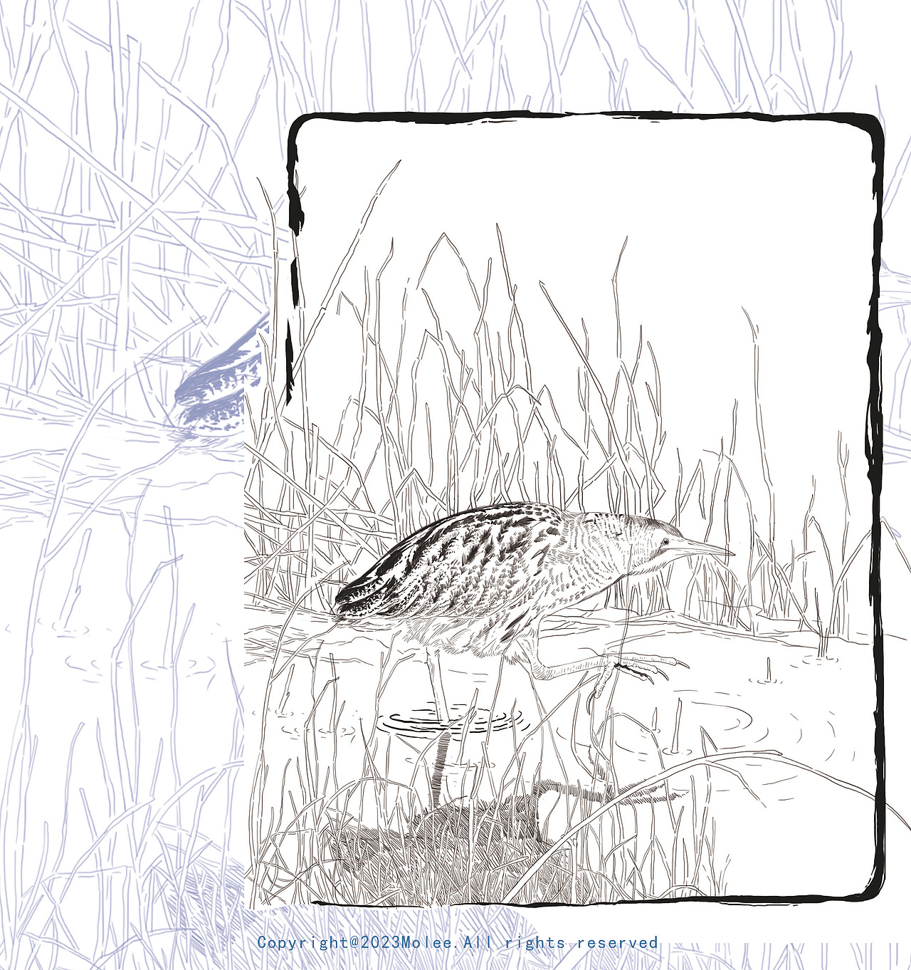 出版物《奇特物种》封面及内文插图