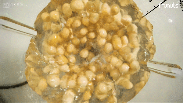 破壁机 | 家电摄影 | 大蕉创作