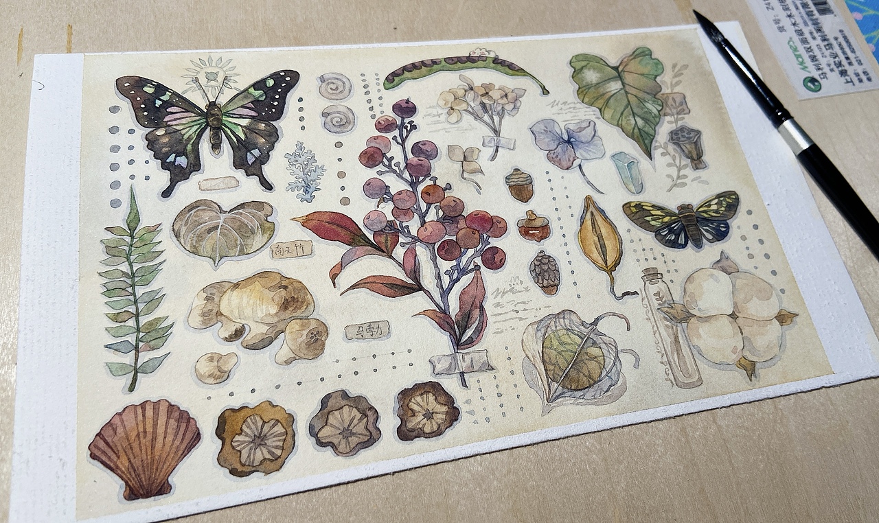 收集秋叶（图ZMzU4NDAwMjQ0） - 商业插画 - 站酷设计师琥珀Seven原创素材 - 站酷ZCOOL