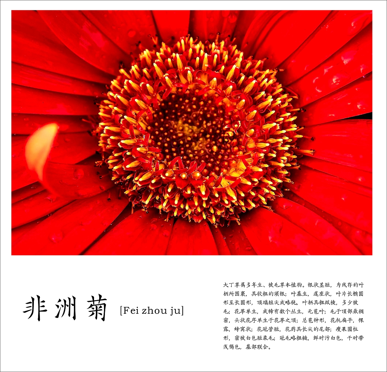 致敬自然 | 万物生长