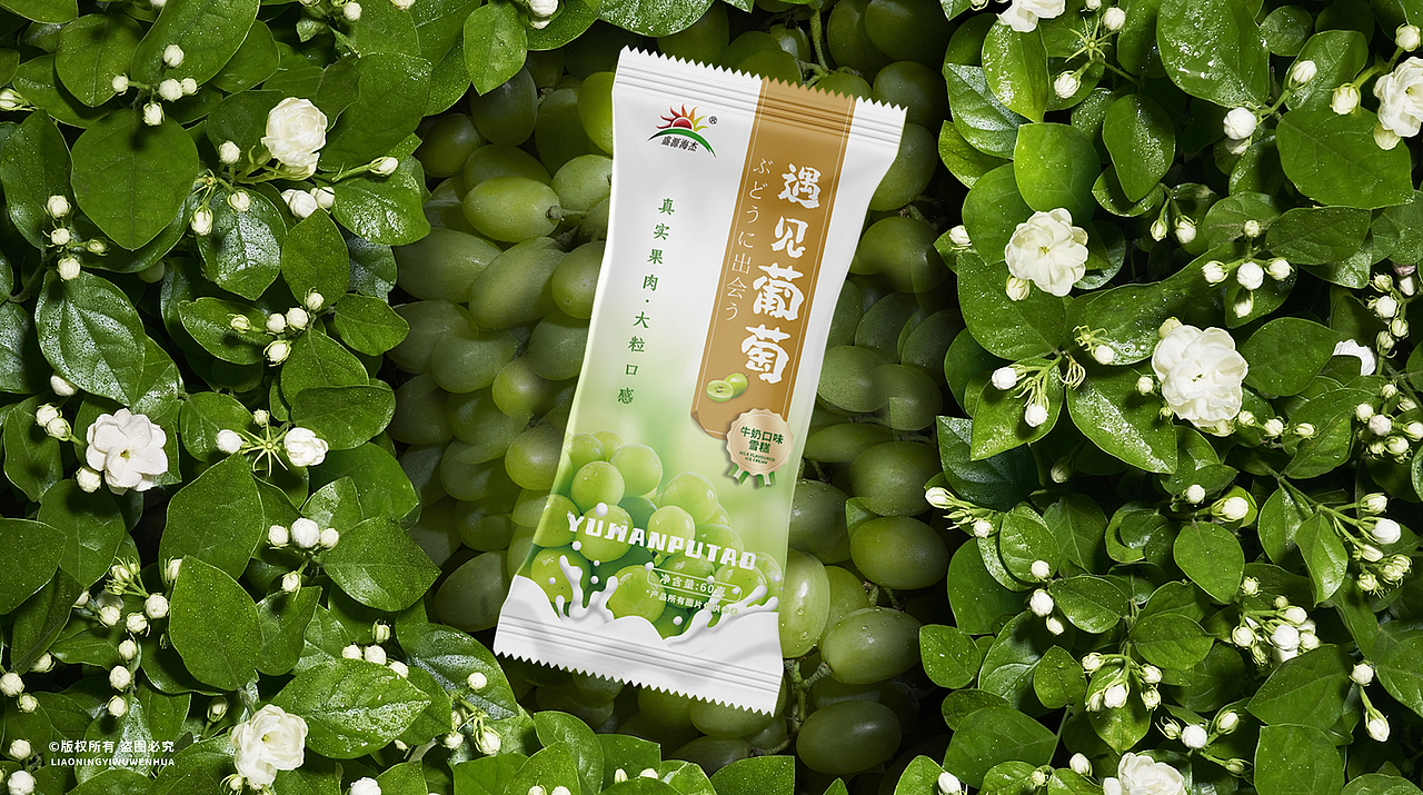 一pai文化 | 雪糕包装【盛源海杰-2023年】（图ZMzI1MTk2MzQ4） - 品牌 - 站酷设计师一兀文化原创素材 - 站酷ZCOOL