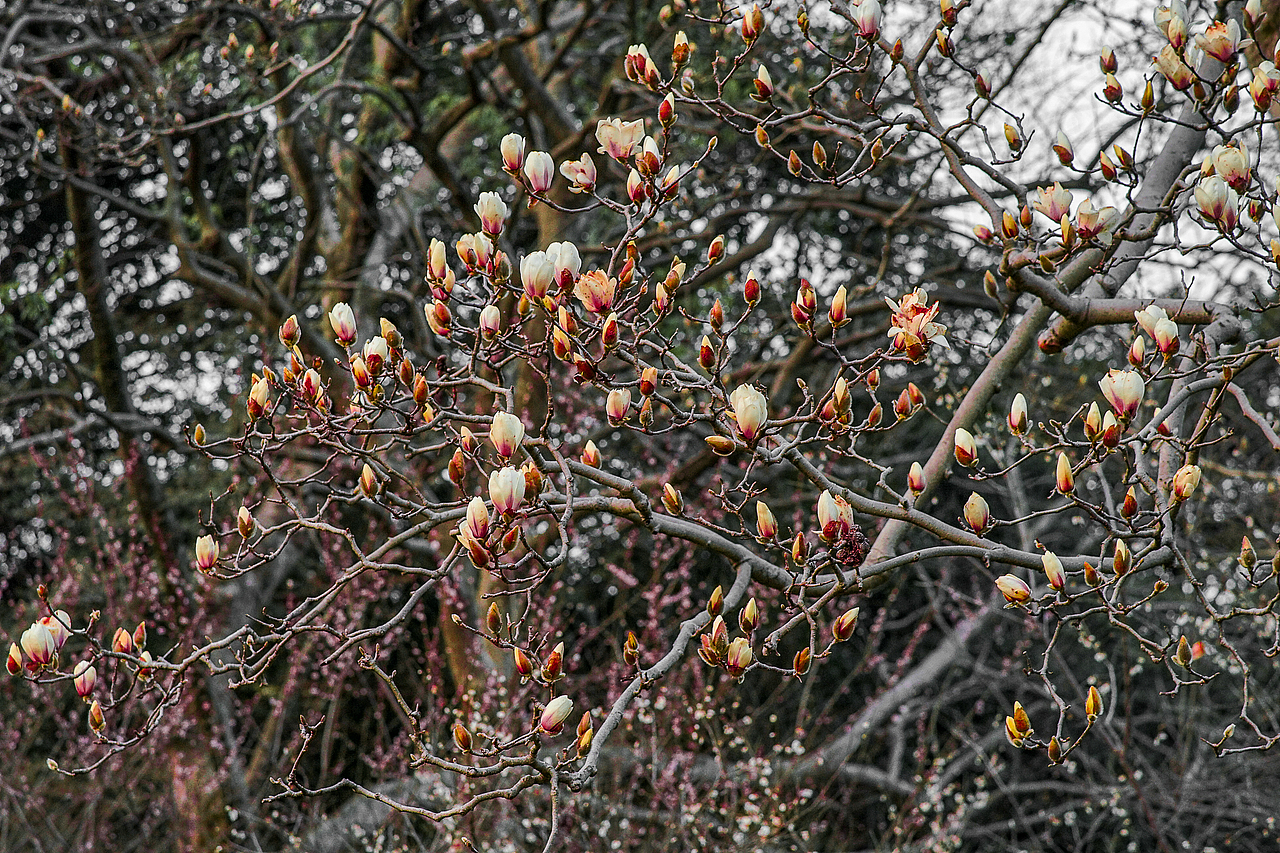 城市风貌系列6（图ZMzYzMTQ1OTk2） - 风光摄影 - 站酷设计师莫潘原创素材 - 站酷ZCOOL