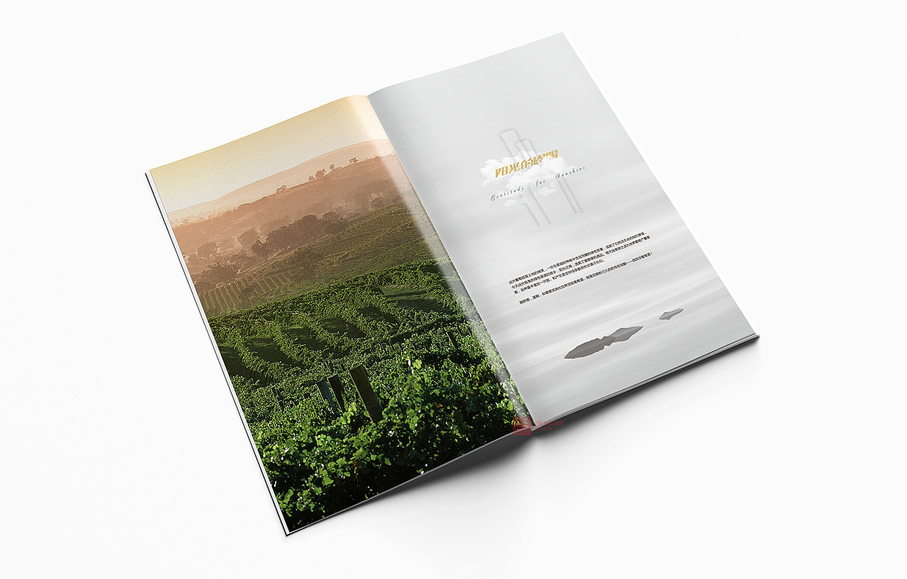 成都画册设计公司/成都红酒画册设计/葡萄酒画册设计