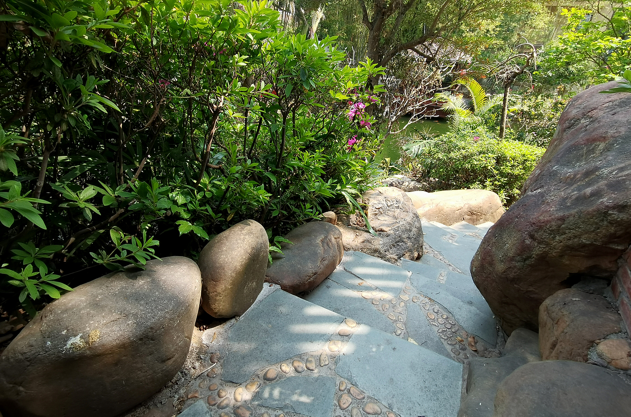 空山无人水流花开