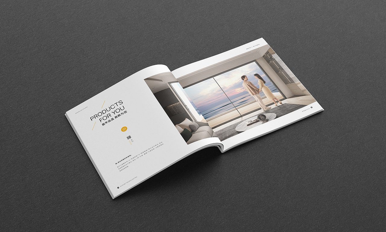 能牛大窗品牌画册