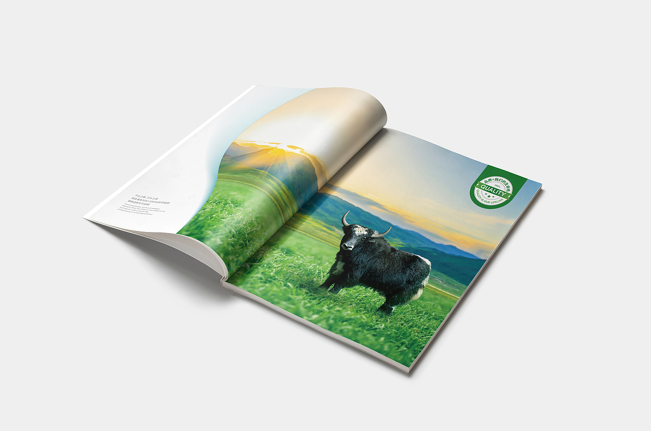 原创设计I定制画册I画册设计I生物画册