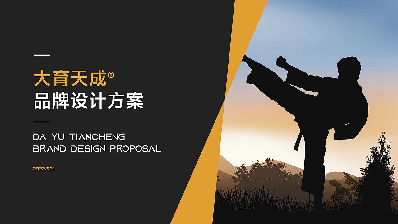 武馆品牌形象设计-深圳大育天成