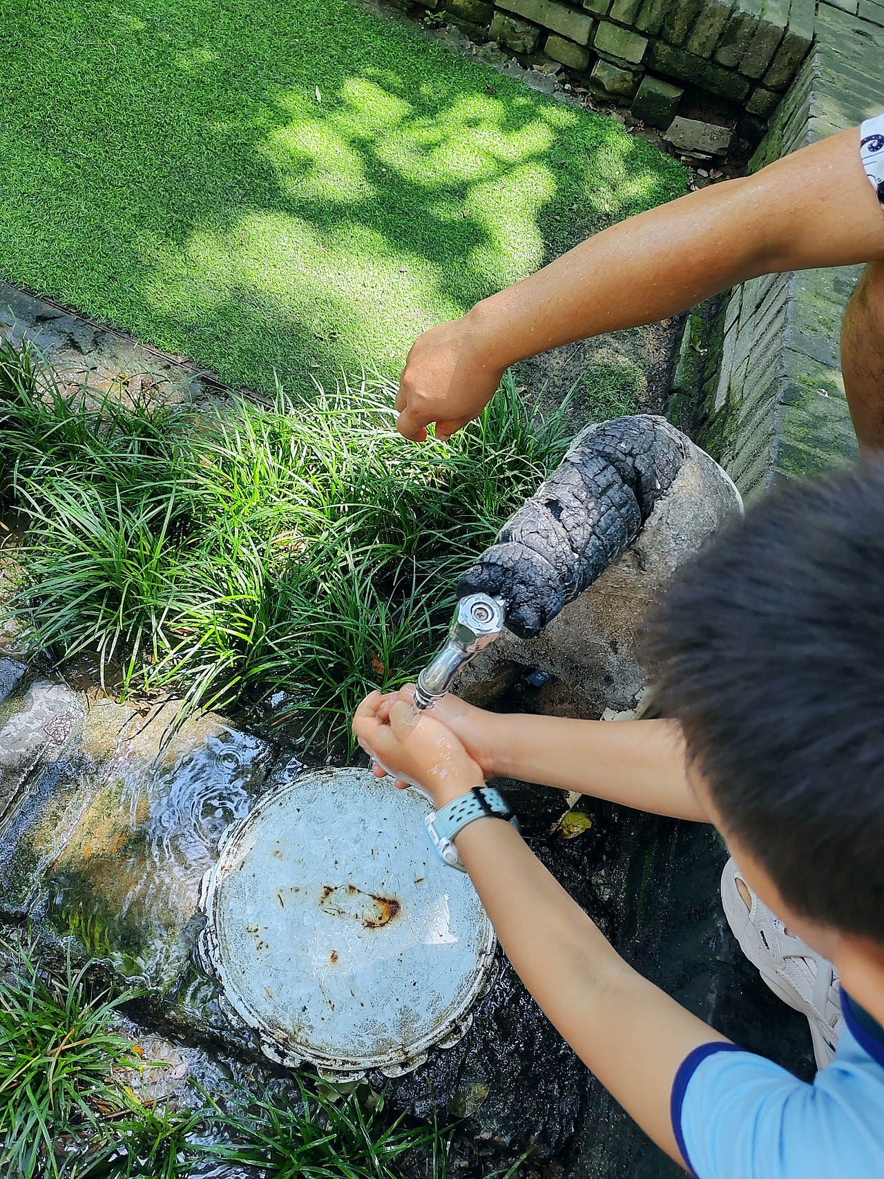 还是太热了，许久没有摸过夏天水龙头里冰凉的井水。