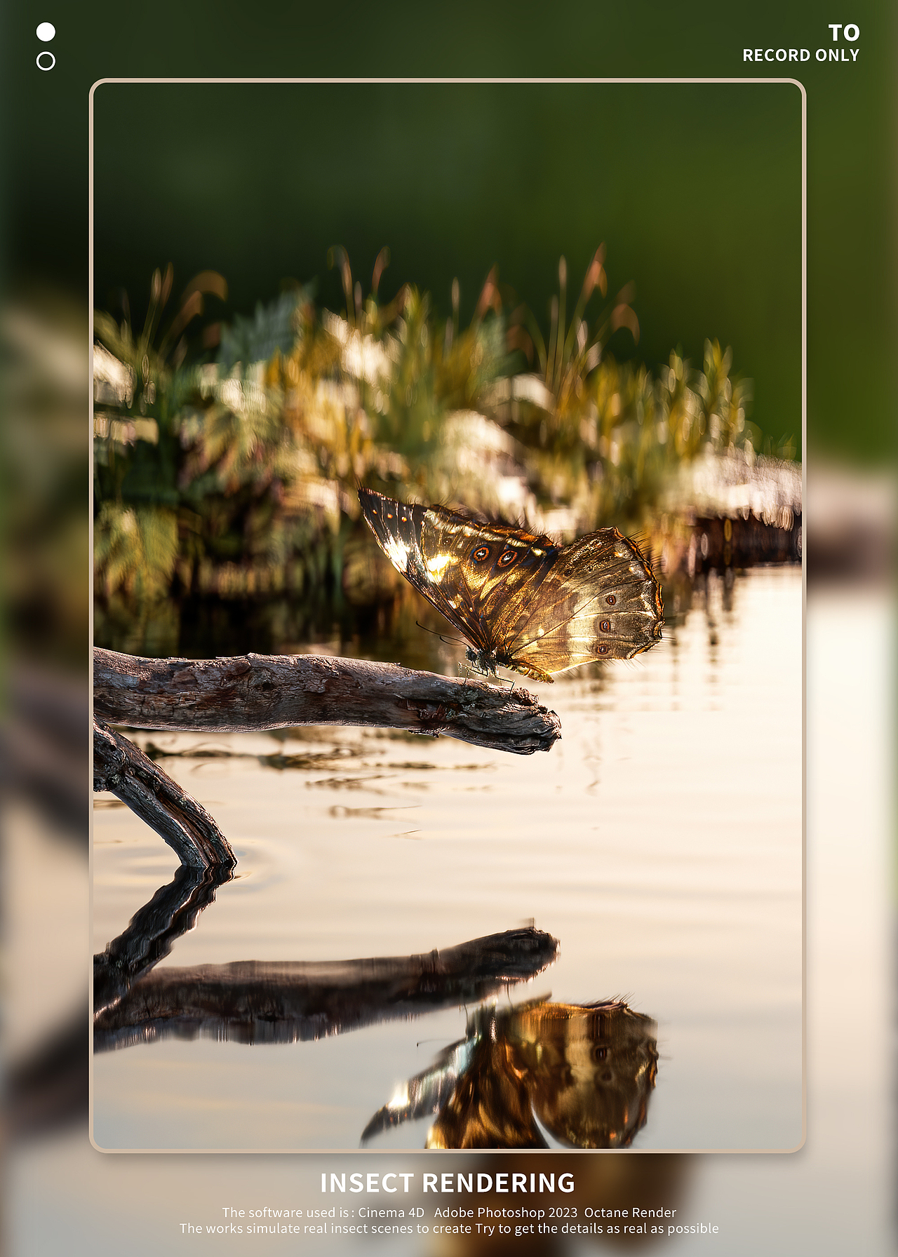 【昆虫Render】（图ZMzI1MTY4MTcy） - 人物/生物 - 站酷设计师Rxu_双木原创素材 - 站酷ZCOOL