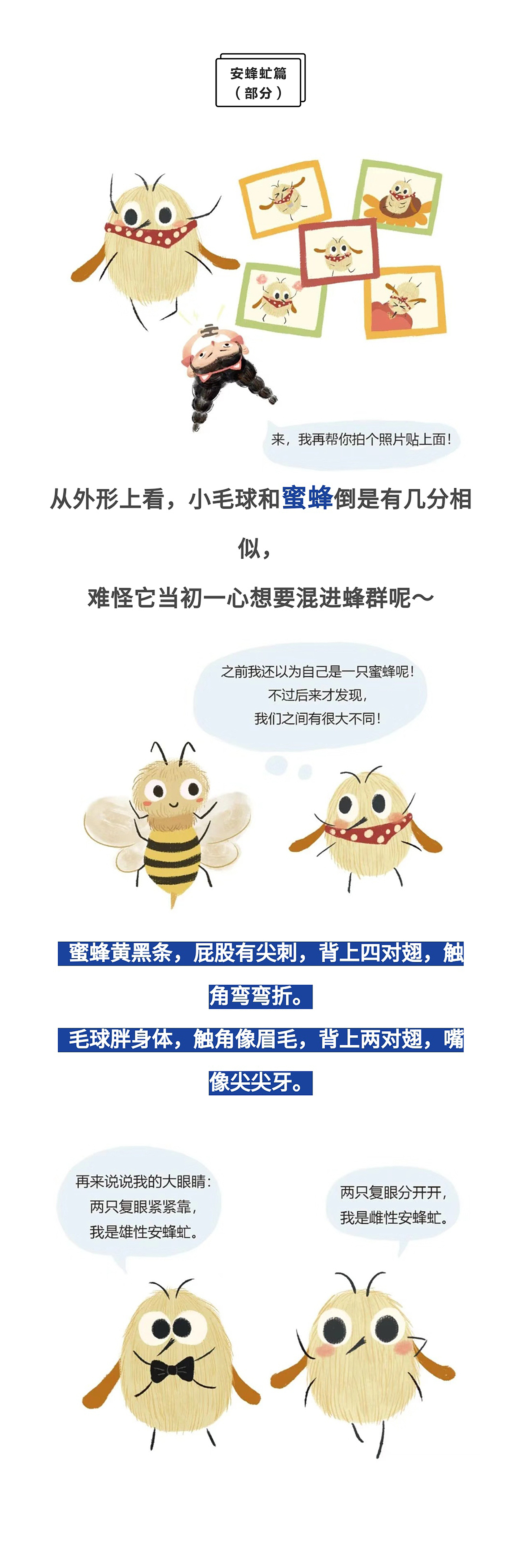 低朴儿童-公众号昆虫科普