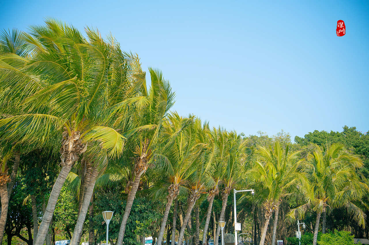 旅行摄影·深圳行(风光篇)