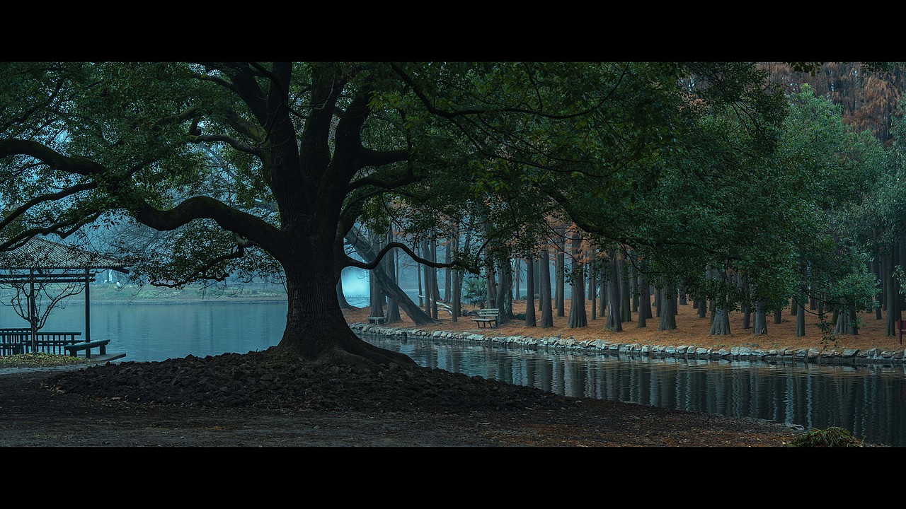 清晨的共青森林公园，每一张都像电影！（图ZMzU5NTg2MTYw） - 风光摄影 - 站酷设计师乐拍空间原创素材 - 站酷ZCOOL