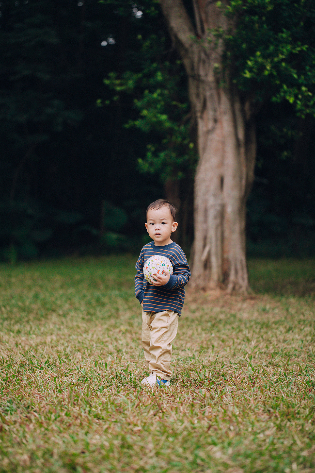 多米不知不觉两岁拉 ｜宝宝成长记录