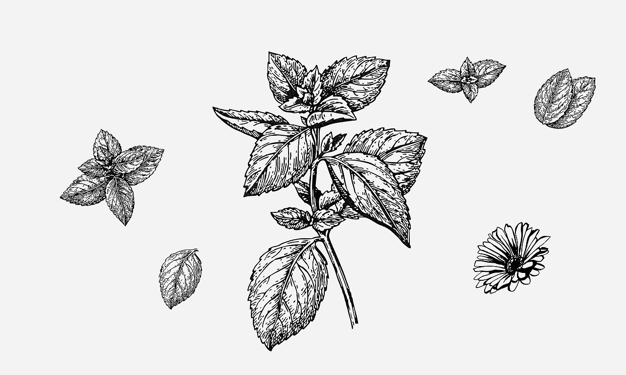 含片包装视觉形象提升