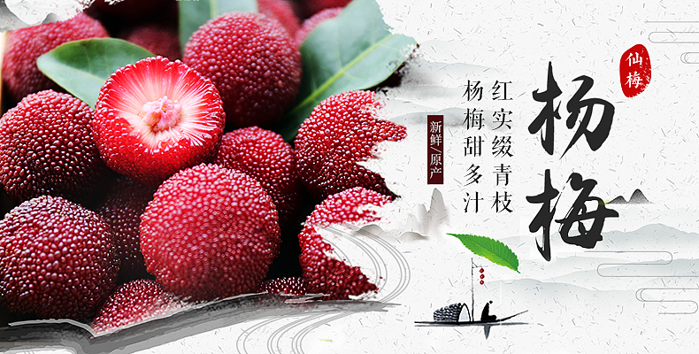 仙居杨梅电商详情页（图ZMzQ1MjMzNDQ0） - 其他平面 - 站酷设计师兜兜里有榴莲原创素材 - 站酷ZCOOL
