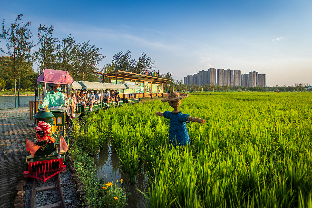西安市长安公园稻香园 | 景观摄影