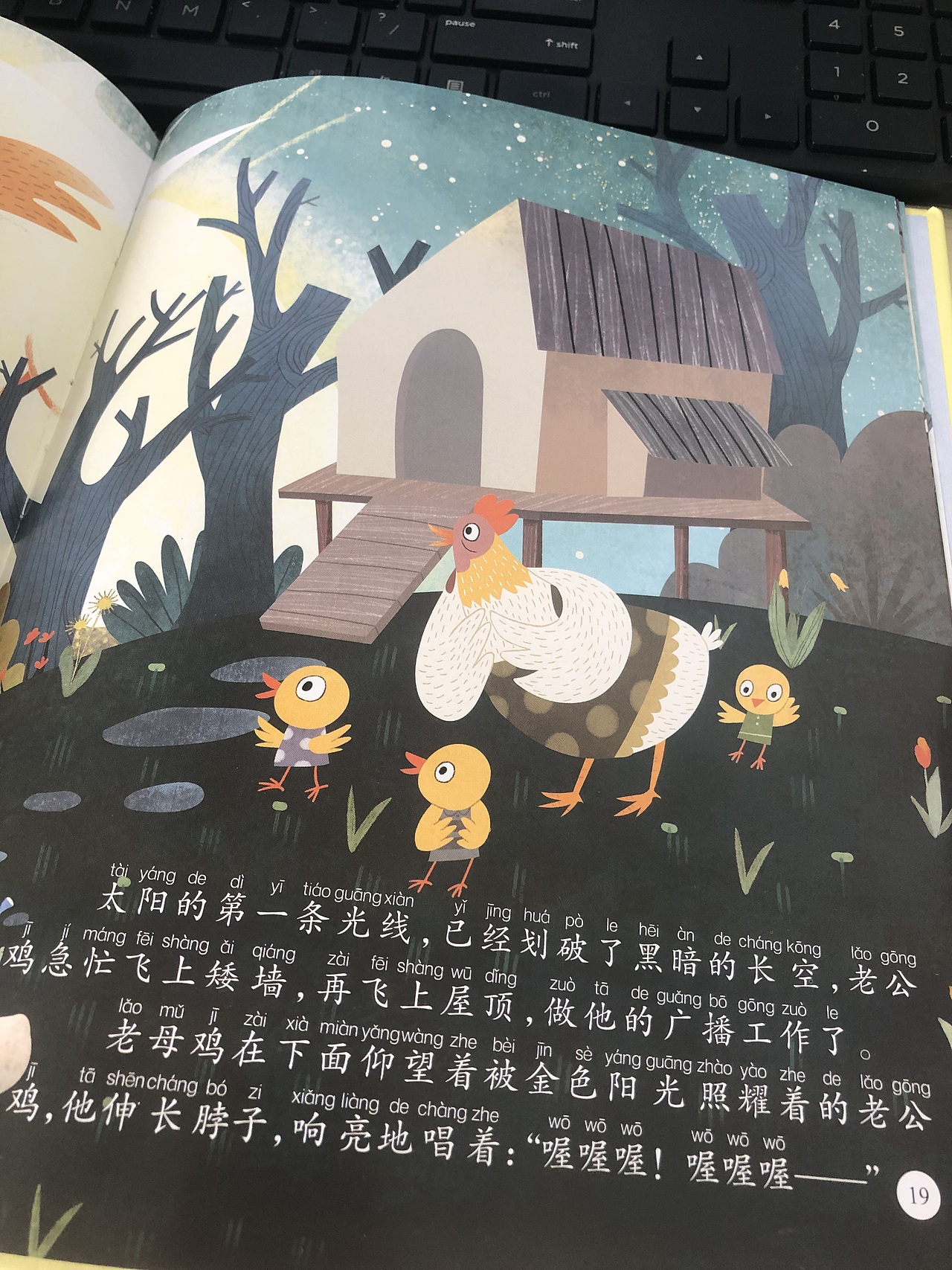 儿童绘本 ▏《飞上屋顶的老公鸡》（图ZMzY5ODgwODA0） - 儿童插画 - 站酷设计师狐狸黑原创素材 - 站酷ZCOOL