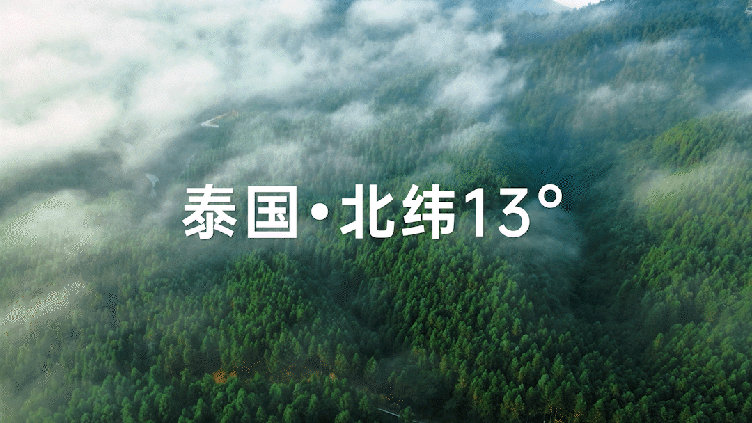 黑白调A501大桌面实木学习桌椅