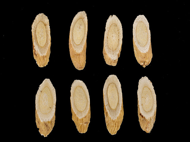 产品拍摄-黄芪片