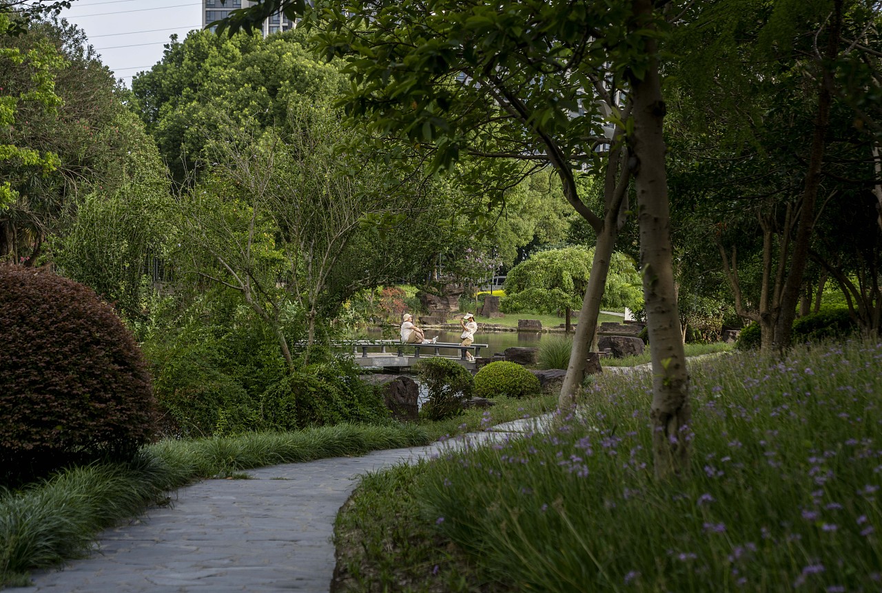 苏州空山城市公园|上海园林设计院总院