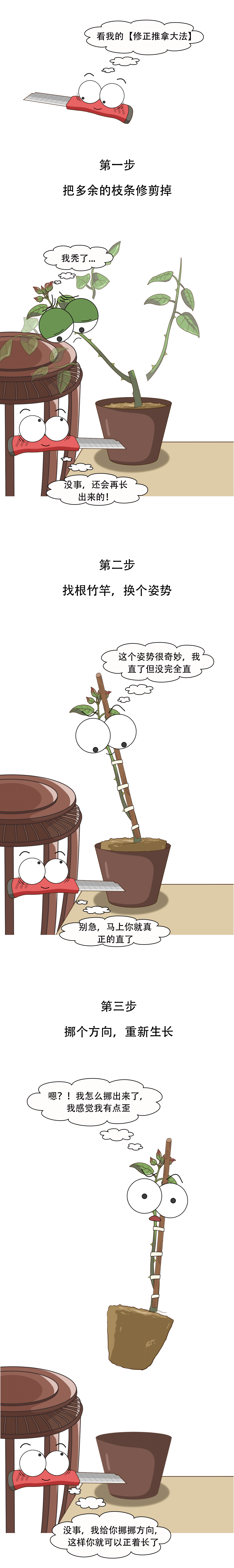 玫瑰花歪着长?一剪子修正过来