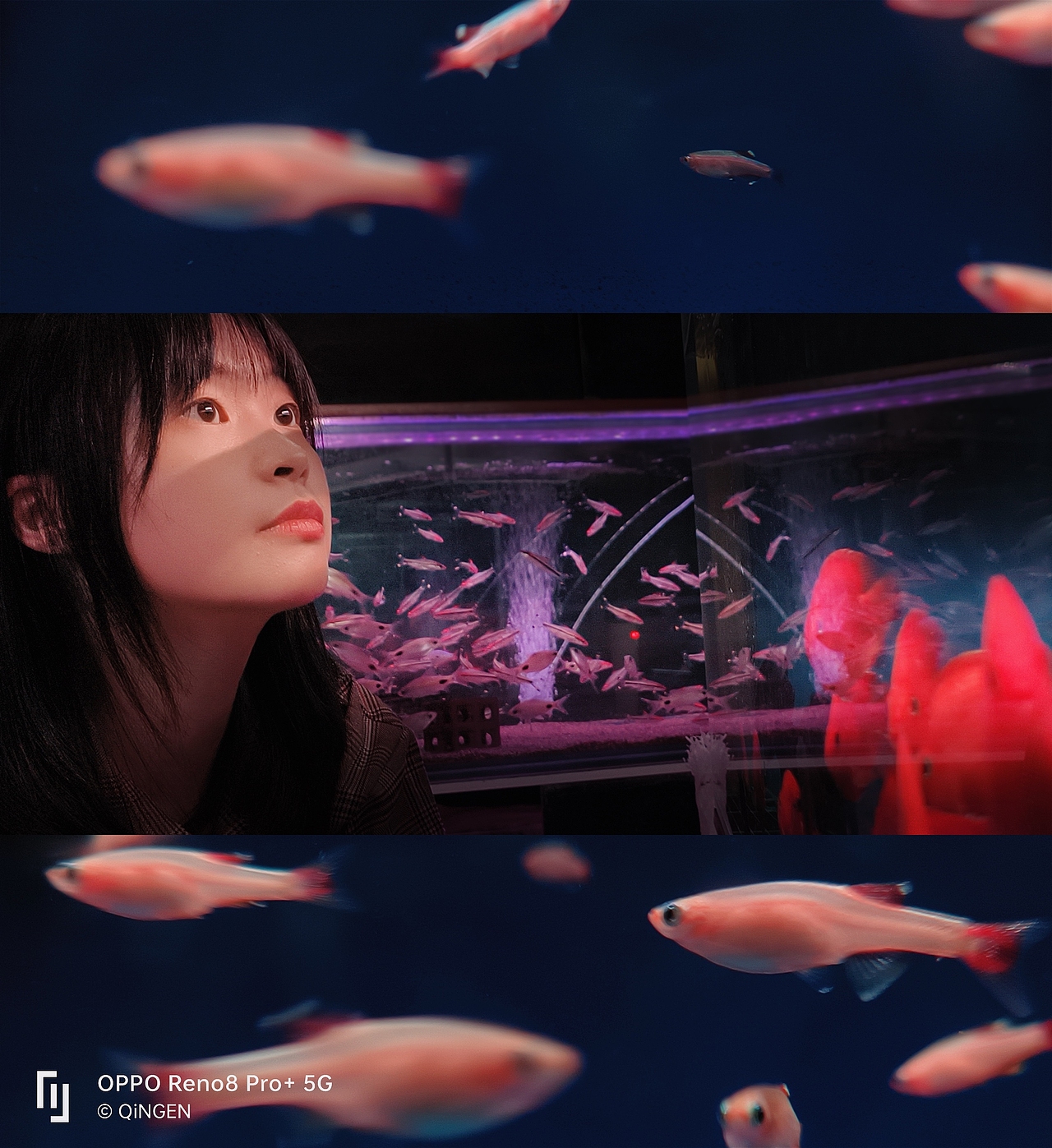 OPPO Reno8 Pro+ 逍遥青 图赏 & 样张（图ZMzA0NzkyNTMy） - 产品摄影 - 站酷设计师兜里有大糖原创素材 - 站酷ZCOOL