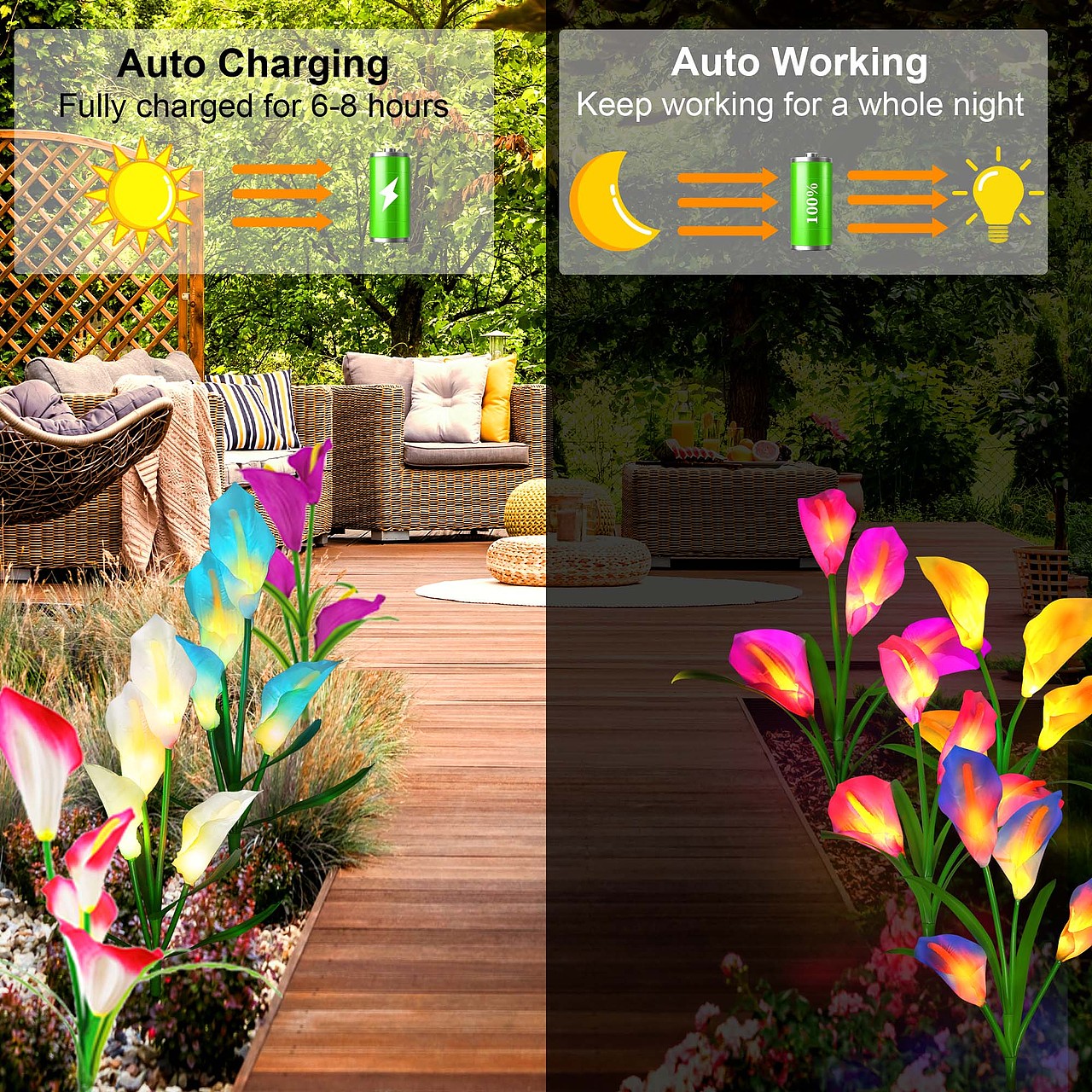 亚马逊—灯光-马蹄花灯