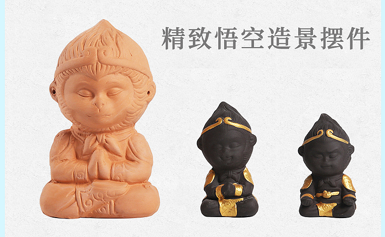 迷你鹦鹉鱼养殖罐拍摄设计-客户拍摄案例-盗图必究