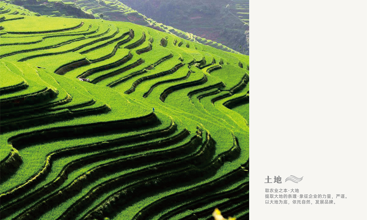 农业品牌LOGO视觉设计呈现（图ZMzQyNzg0NjAw） - 品牌 - 站酷设计师DEPU德普设计原创素材 - 站酷ZCOOL