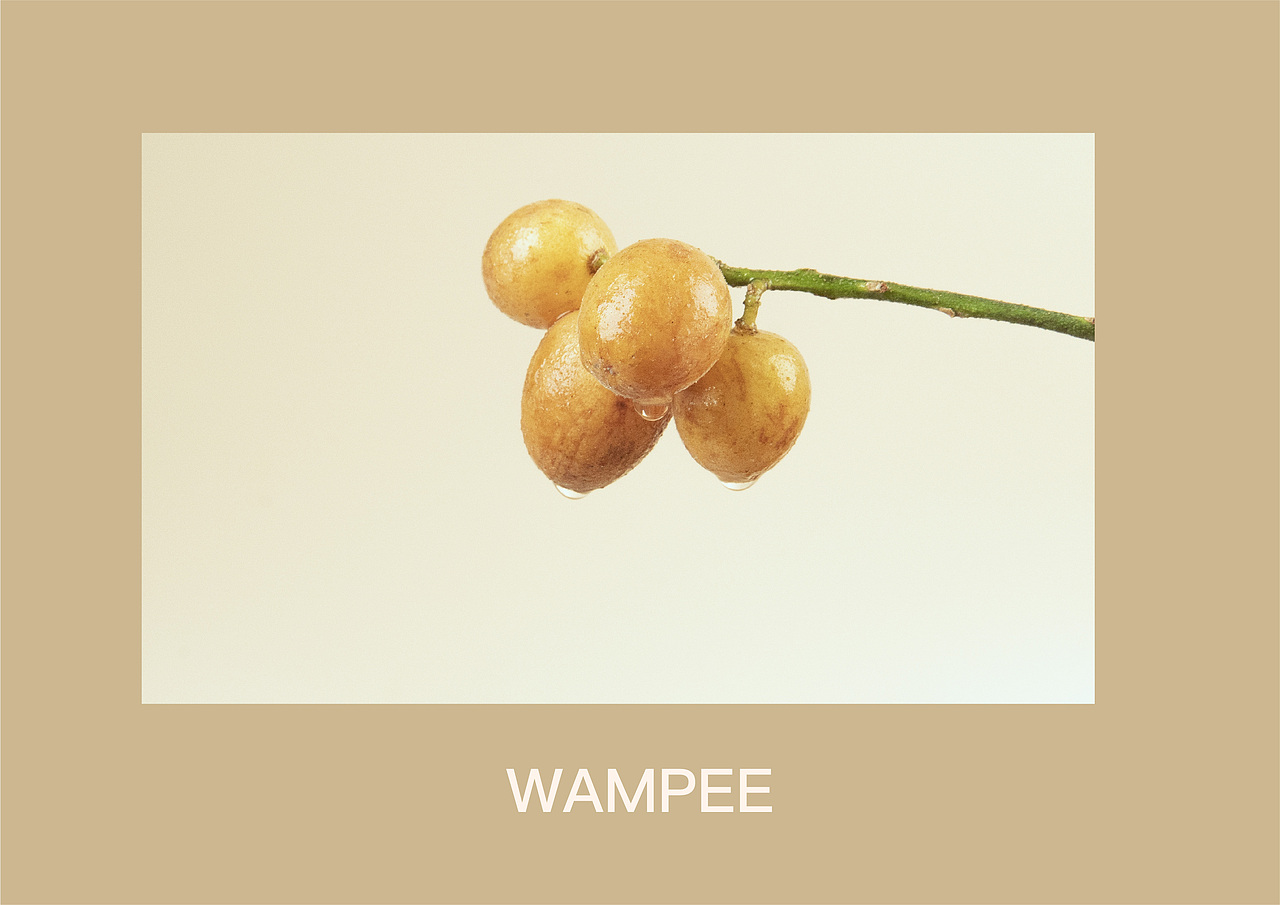 #创作加油站#木骊作品｜黄皮果，是南方小镇思念的味道（图ZMzEyNTc4MTMy） - 美食摄影 - 站酷设计师木骊原创素材 - 站酷ZCOOL