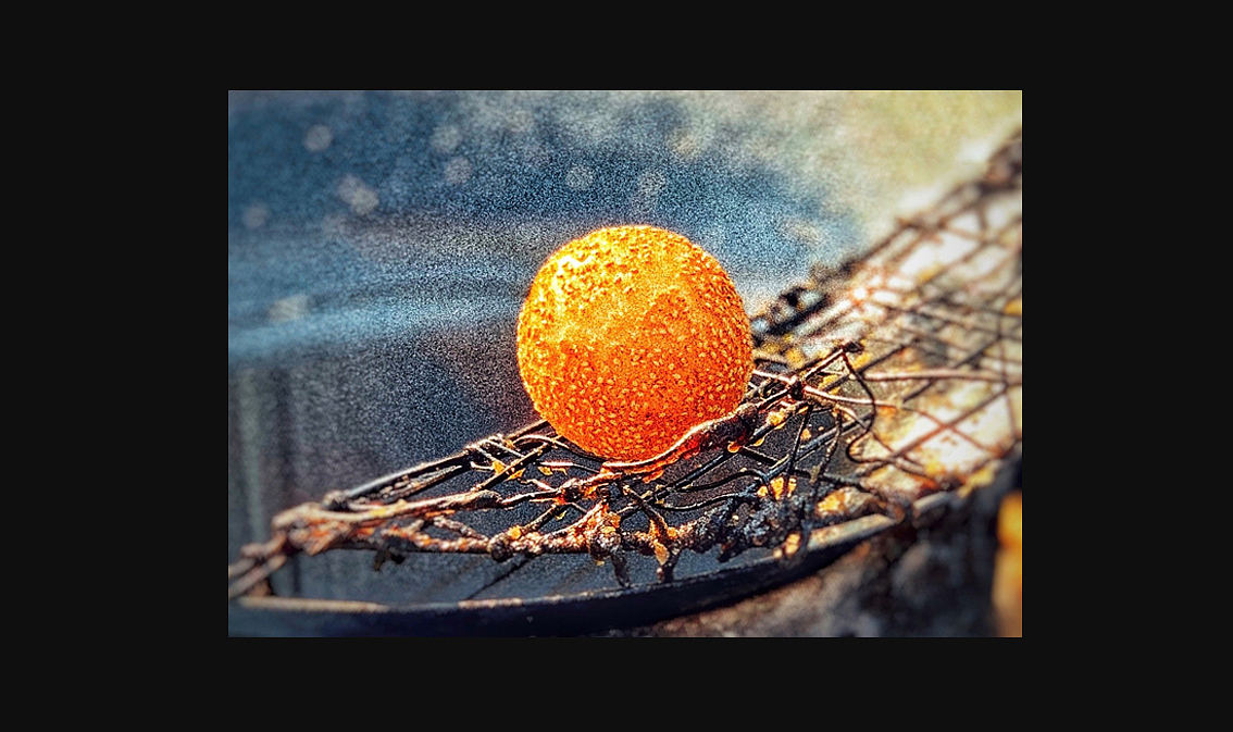 2022-2023手机摄影(部分)