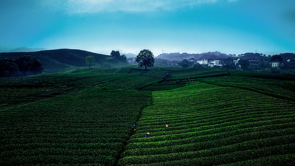 三月摄影小结一些偏低调色的调调