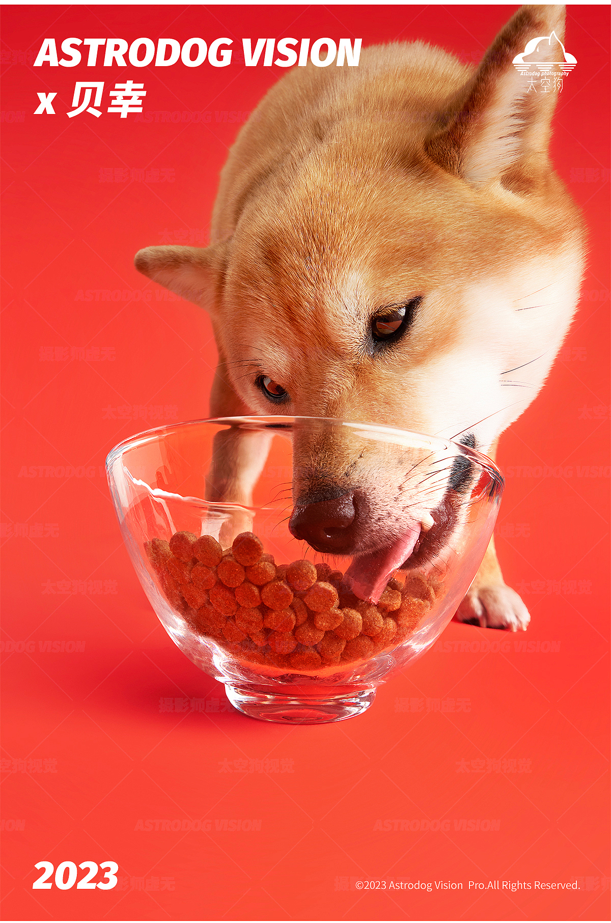 宠物食品拍摄——贝幸全价狗粮