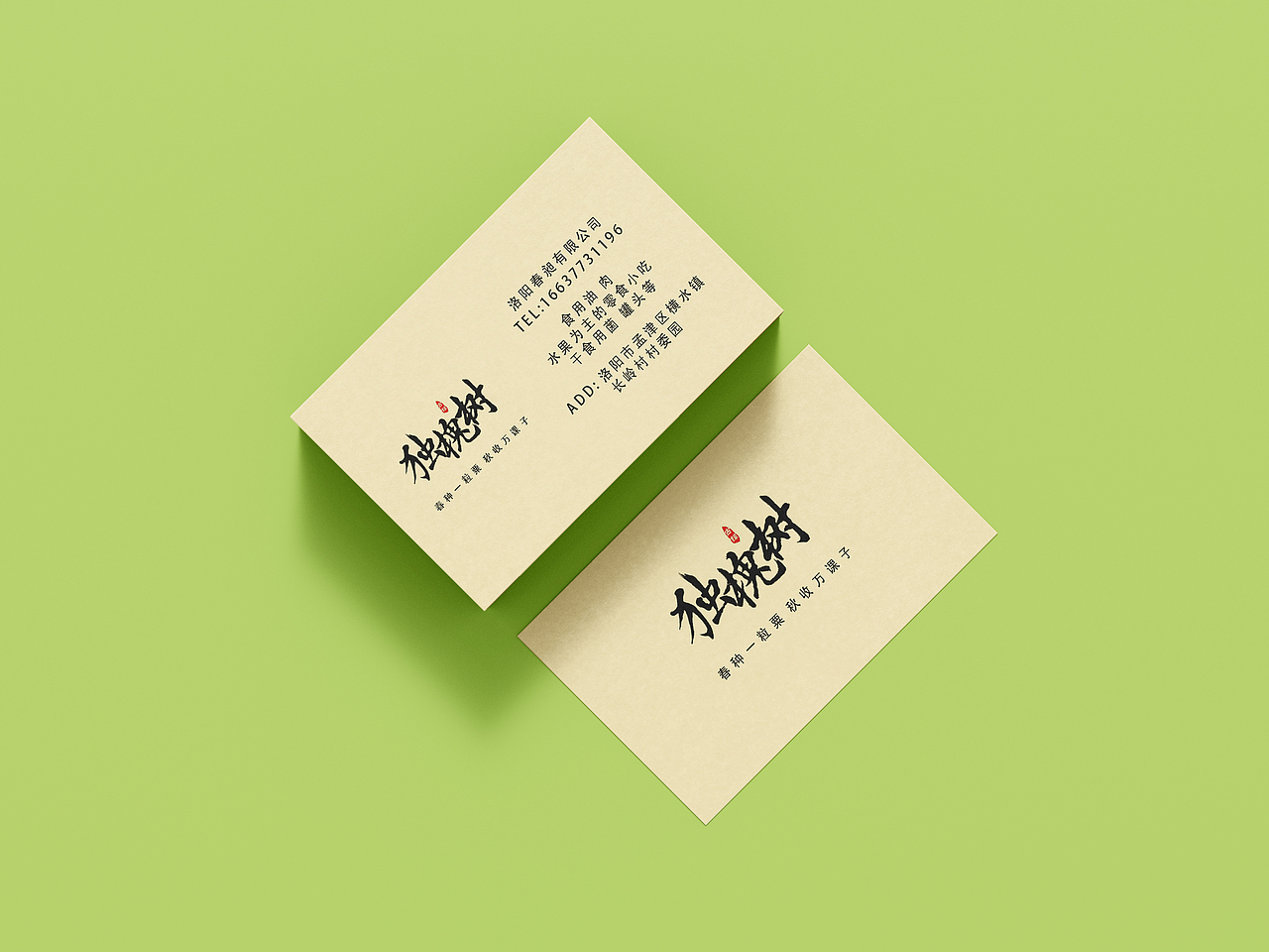 作业——独槐树系列包装