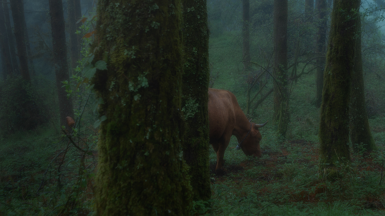 2022~5月~烟雨梁王山（图ZMzAyMjgyMTEy） - 风光摄影 - 站酷设计师nayinian原创素材 - 站酷ZCOOL