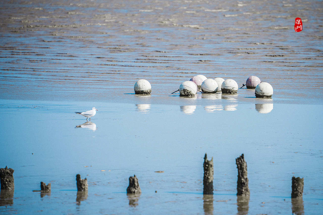 旅行摄影·深圳行(风光篇)