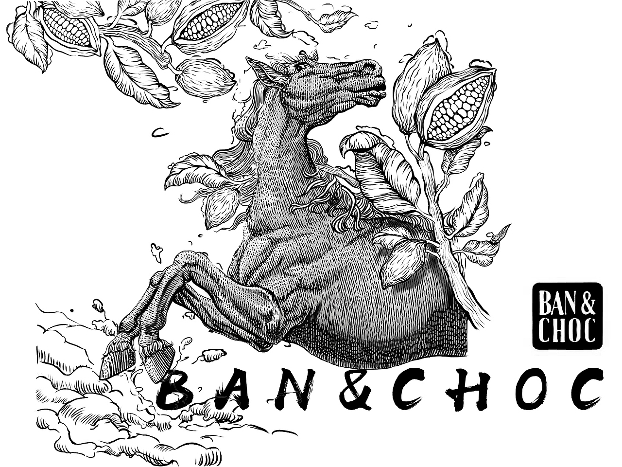 菲来德x斑马与巧|巧克力包装设计|插画包装