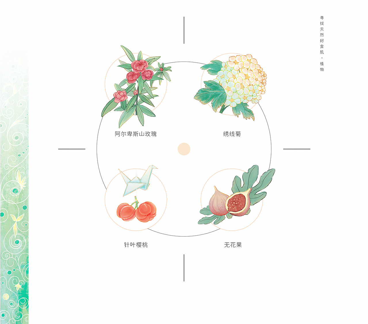 #my CLARINS 寻找天然好食肌#美好时光,童话秘境