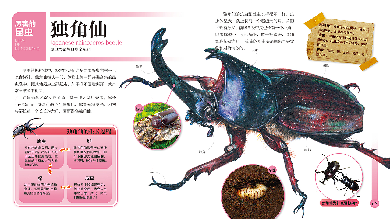 《千奇百怪的昆虫》系列绘本 手绘彩铅 科普绘本（图ZMzQzNDY2MzU2） - 绘本 - 站酷设计师石子儿绘本工作室原创素材 - 站酷ZCOOL