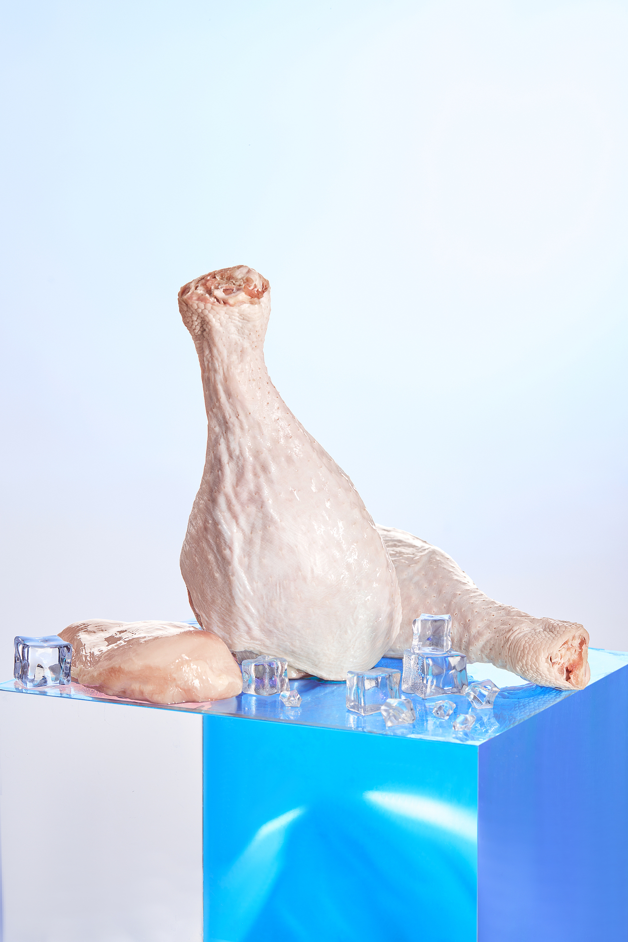 蓝氏 猎宴火鸡全价猫粮