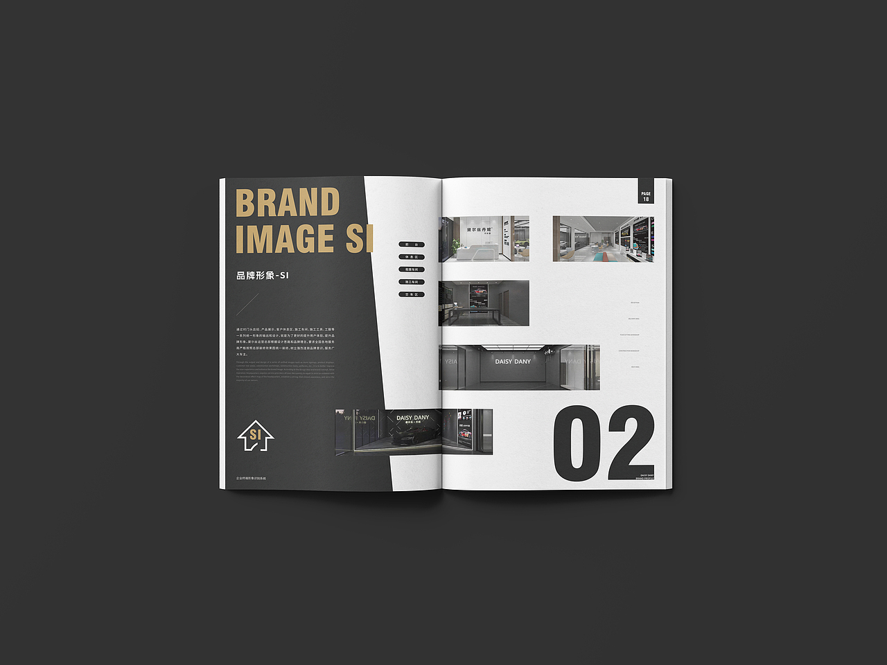 黛尔丝丹妮汽车贴膜画册设计