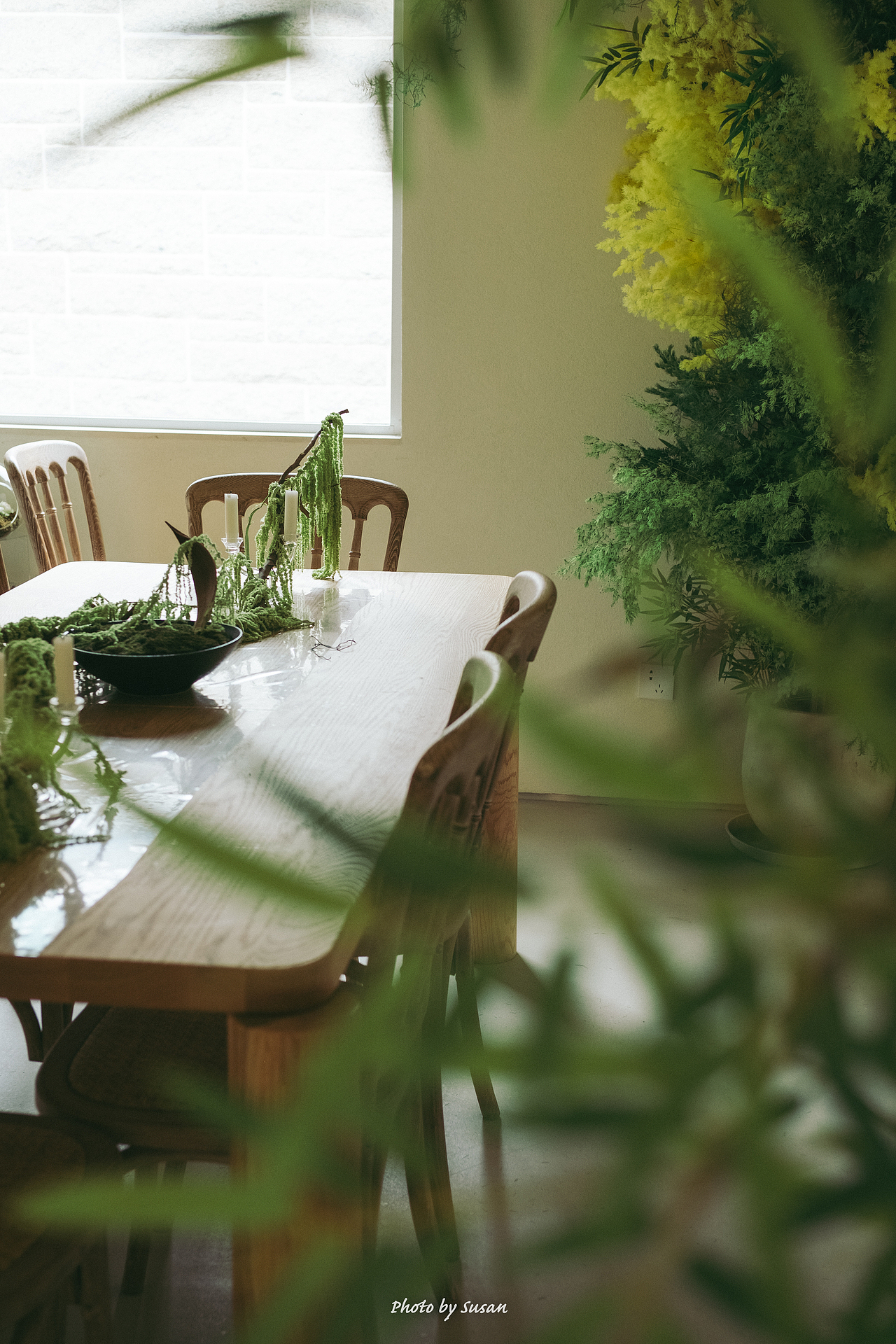 爱丽丝的春天 ｜空间艺术装置, 环境场景拍摄（图ZMzAxNDQ4NjQw） - 环境/建筑摄影 - 站酷设计师苏影纪原创素材 - 站酷ZCOOL